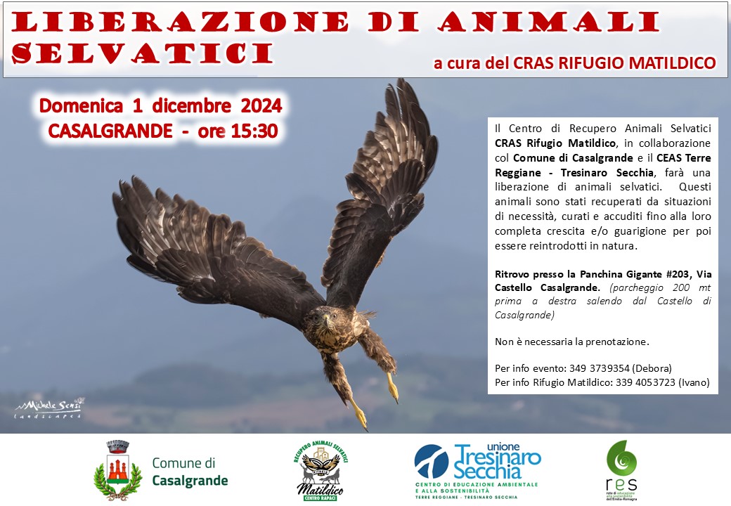 Liberazione di animali selvatici a Casalgrande