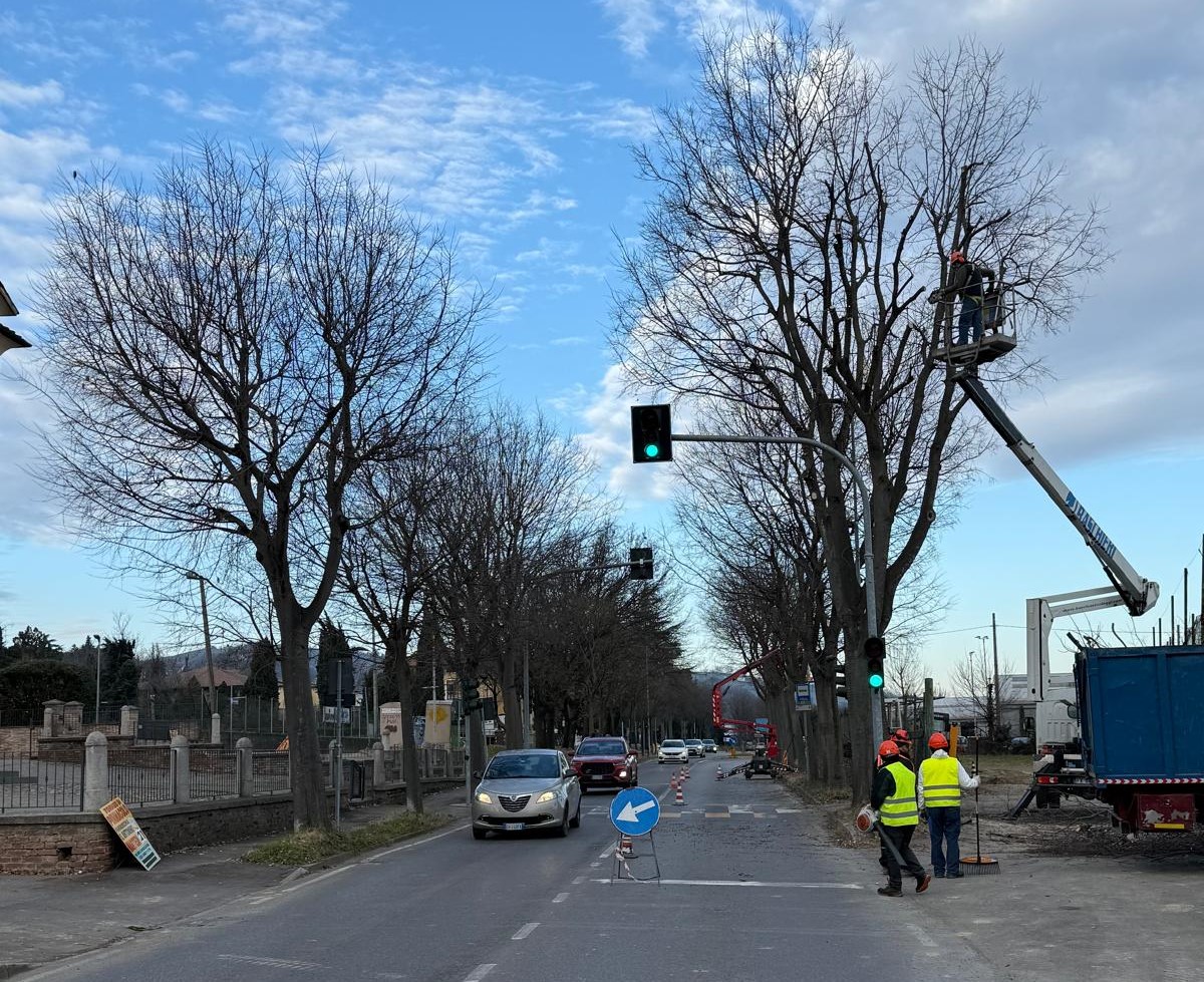 Manutenzione del verde: in corso potature alberi a Casalgrande, Salvaterra e Sant'Antonino